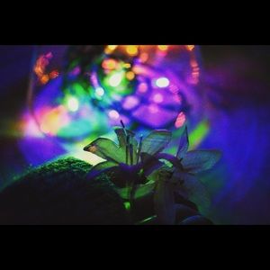 Meet your Posher, Bethany